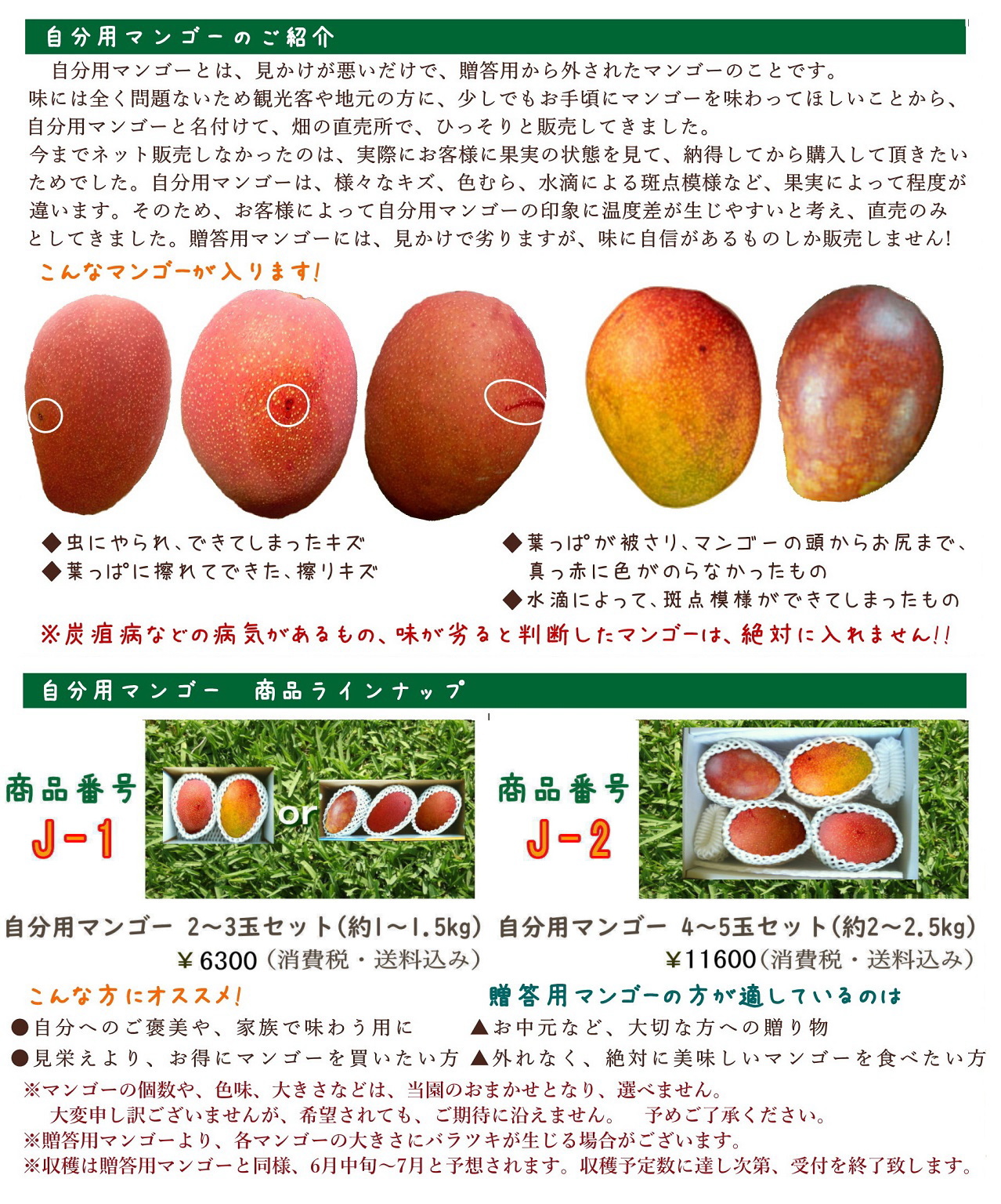 自分用マンゴー